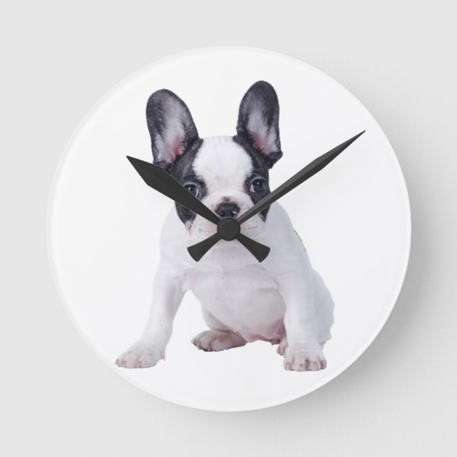 Französischer Bulldog-Welpe Runde Wanduhr (Vorderseite)