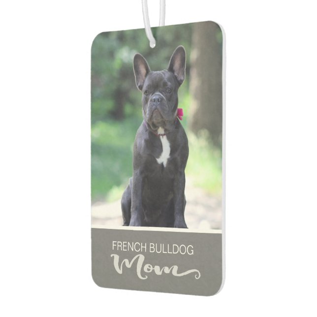 Französischer Bulldogge bringt das Bild Ihres Hund Autolufterfrischer (Links)
