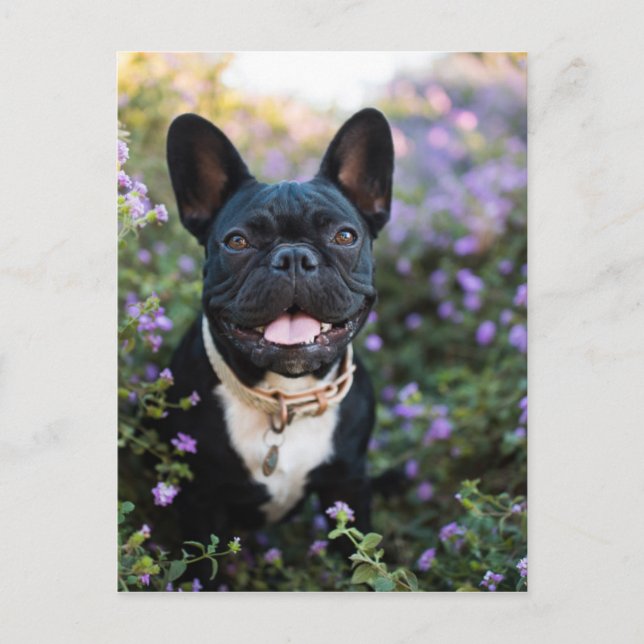 Französischer Bulldogist in Blume Postkarte (Vorderseite)