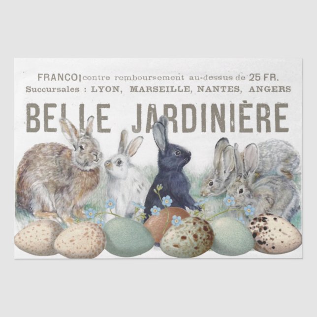 Französischer Garten Bunny Kaninchen Eier Ostern D Seidenpapier (Vorderseite)