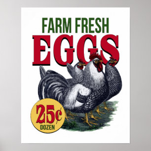 Französischer Hahn-Bauernhof-frischer Poster