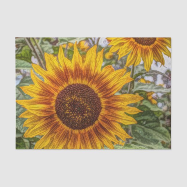 Französischer Landsommergarten glückliche Sonnenbl Seidenpapier (Vorderseite)