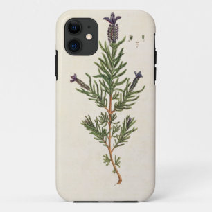 Französischer Lavendel, überziehen 241 von 'eine Case-Mate iPhone Hülle