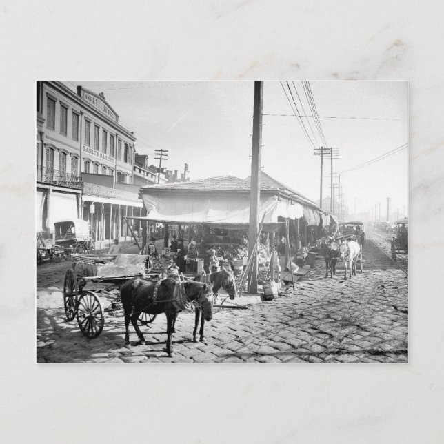 Französischer Markt in New Orleans, 1906 Postkarte (Vorderseite)
