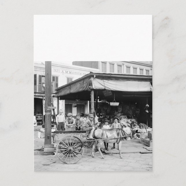 Französischer Markt, New Orleans, 1910 Postkarte (Vorderseite)
