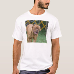 Französischer Mastiff-Hund T-Shirt