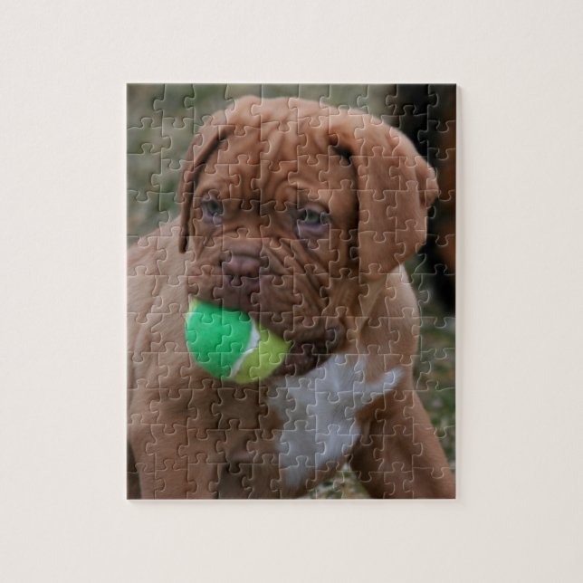 Französischer Mastiff-Welpe (Vertikal)
