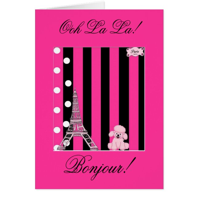 Französischer Pudel (Vorne)