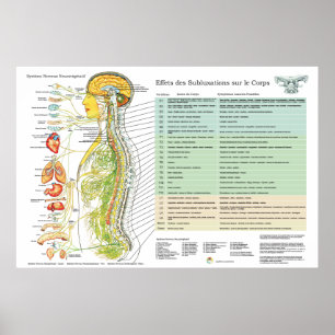 Französisches amerikanischer poster