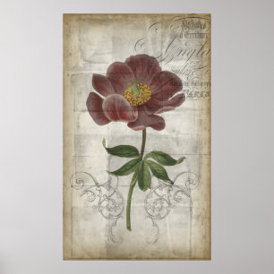 Französisches Blumeni Poster