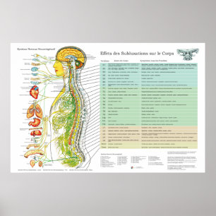 Französisches Chiropraktik-Subluxations-Rückenmark Poster