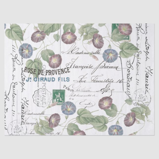 Französisches Ephemera Morning Glory Blume Tissue  Seidenpapier (Vorderseite)