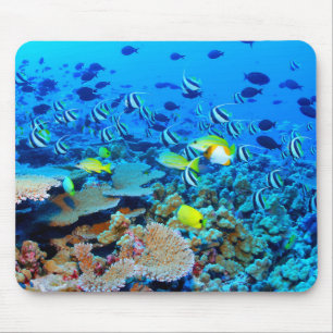 Französisches Fregatte-Masseriff mit Fischen Mousepad