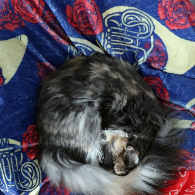 Französisches Horn Fleecedecke (Von Creator hochgeladen)