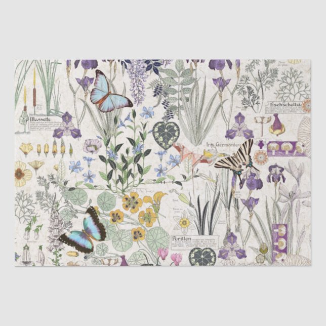 Französisches Kunst Nouveau Seidenpapier (Vorderseite)