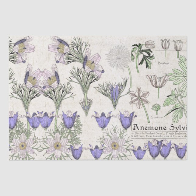 Französisches Kunst Nouveau Seidenpapier (Vorderseite)