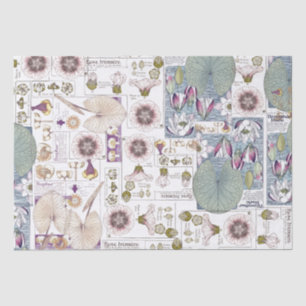 Französisches Kunst Nouveau Seidenpapier