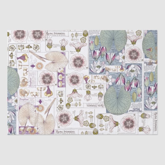 Französisches Kunst Nouveau Seidenpapier (Vorderseite)