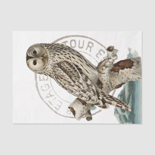 Französisches Postzeichen für Vintage Vogelbaum Seidenpapier (Vorderseite)