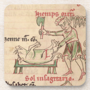 Frau 54. f.6r November: Das Schwein, von einem Untersetzer