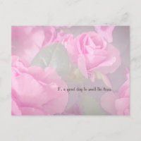 Frau Blumenrosa Rosengarten Geburtstag