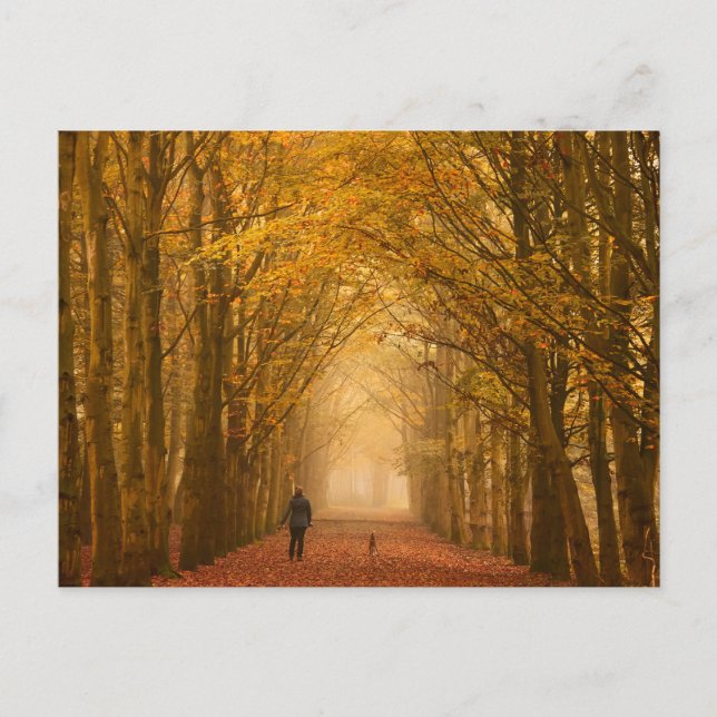 Frau, die mit ihrem Hund im Herbst spaziert, Postk Postkarte (Vorderseite)