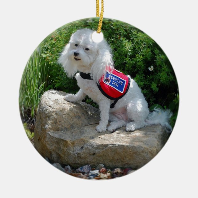 Frau Dolly MaltiPoo Keramikornament (Vorne)
