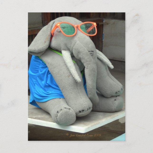 Frau Ella geht zum Pool Postkarte (Vorderseite)
