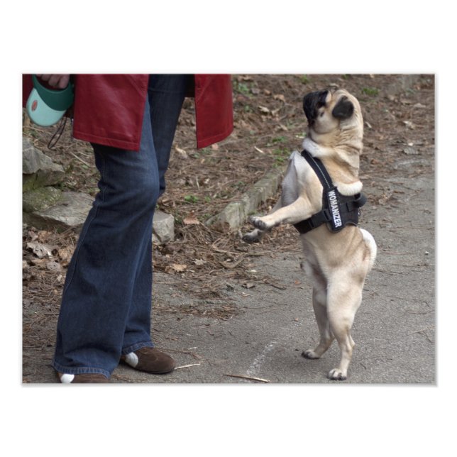 Frau Fotodruck (Vorne)