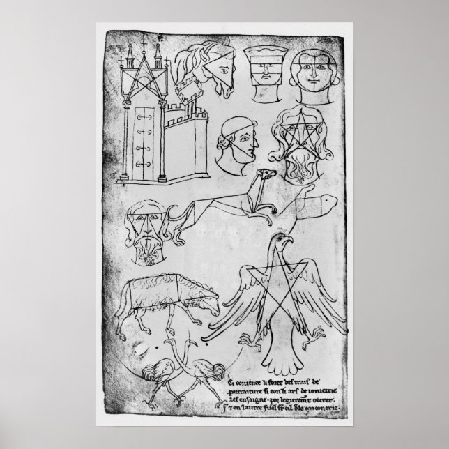 Frau Fr 19093 fol.18v Verschiedene Zeichnungen Poster (Vorne)