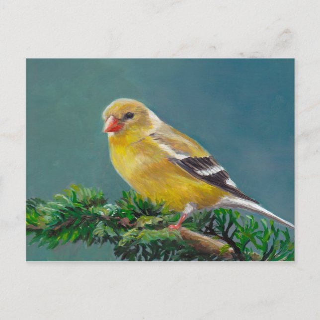 Frau Goldfinch Bird Art Postcard Postkarte (Vorderseite)