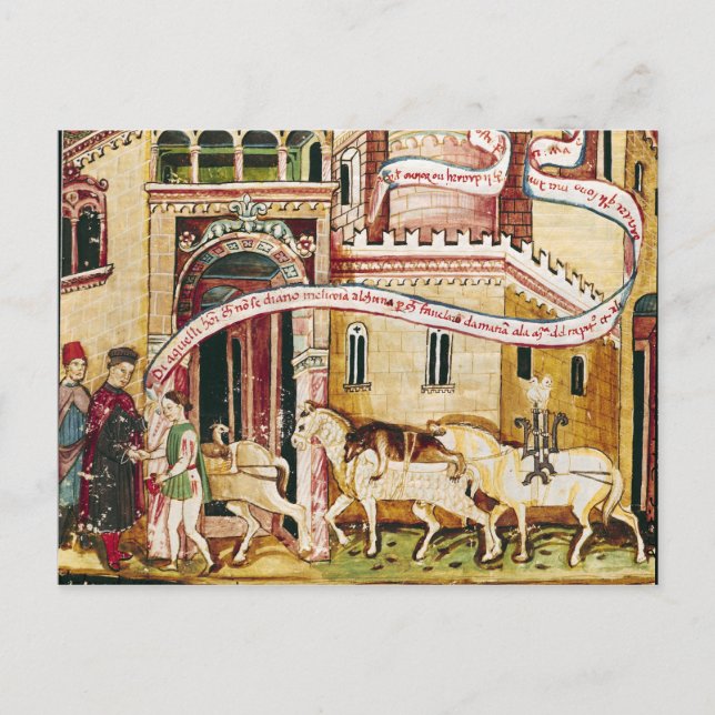 Frau H. V-5 Besteuerung der Händler Postkarte (Vorderseite)