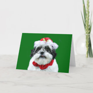 Frau Klaus Shih-Tzu Feiertagskarte