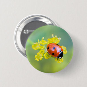 Frau oben button