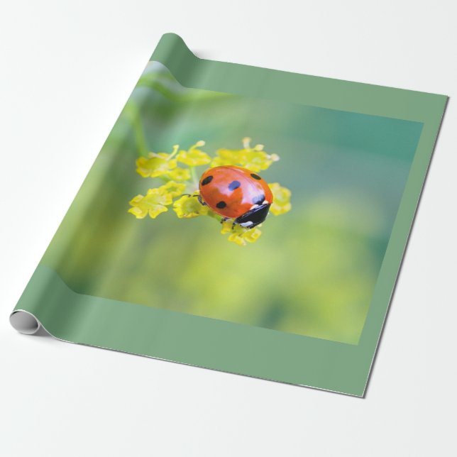 Frau oben geschenkpapier (Ungerollt)