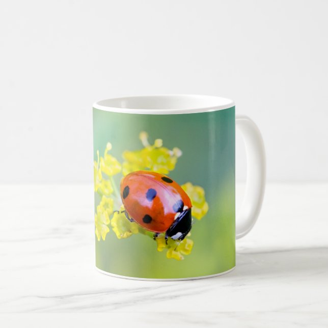 Frau oben kaffeetasse (VorderseiteRechts)