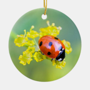 Frau oben keramik ornament