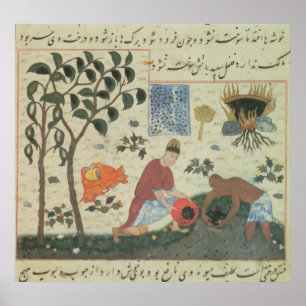 Frau Pers 332 Pfefferbaum und Pfeffer zubereiten Poster