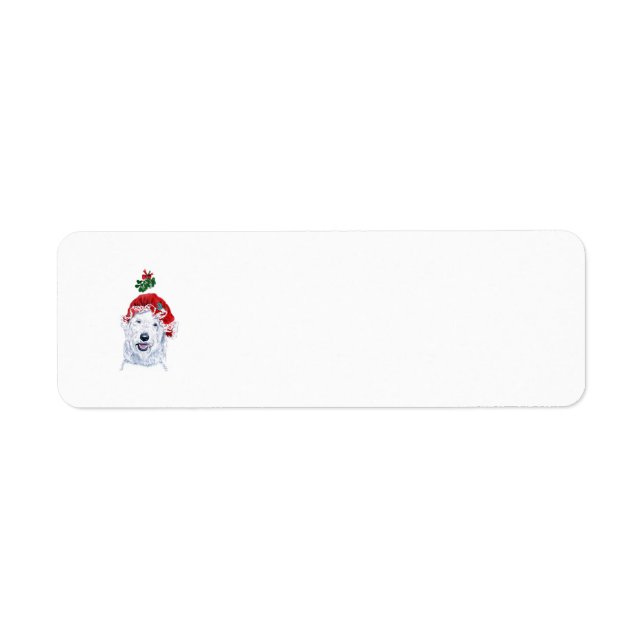 Frau Santa Labradoodle (Vorne)