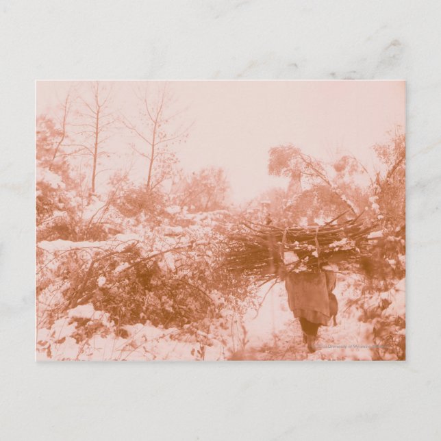 Frau Wood Gatherer Postkarte (Vorderseite)