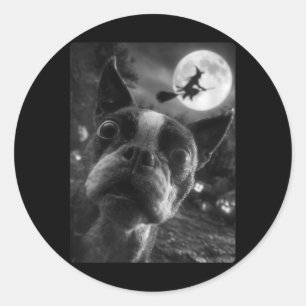Frauen Boston Terrier Selfie Vollmond Fliegend Runder Aufkleber
