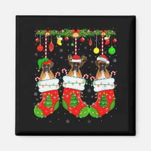 Frauen Boxer Hund in Weihnachts Socken Lustiger Hu Magnet
