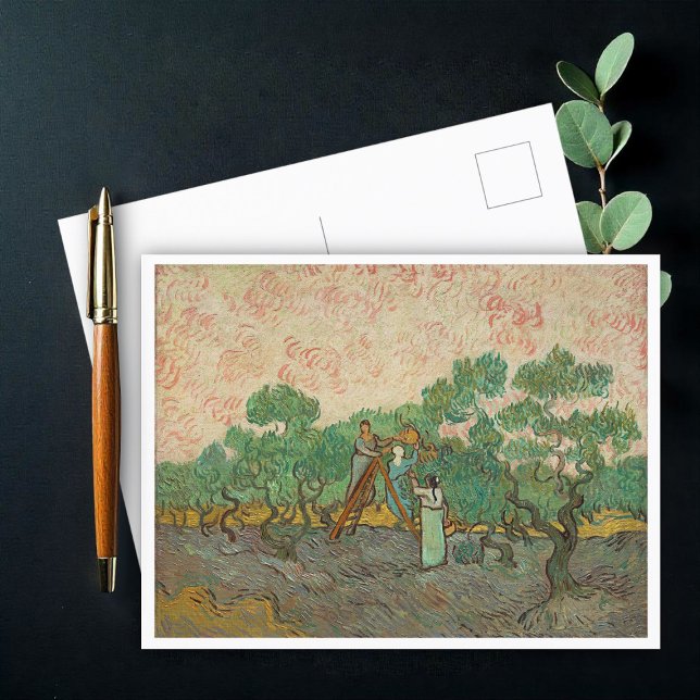 Frauen, die Oliven picken, Van Gogh Postkarte (Von Creator hochgeladen)