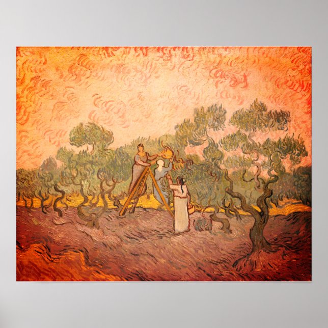 Frauen, die Oliven von van Gogh picken: Poster (Vorne)