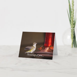 Frauen mit Ruby-Kehle Hummingbird denken an Sie Karte