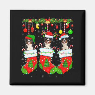 Frauen Saint Bernard Hund in Weihnachts Socken Lus Magnet