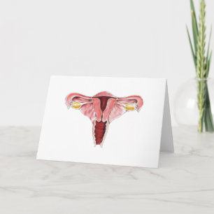 Frauenkarte Karte