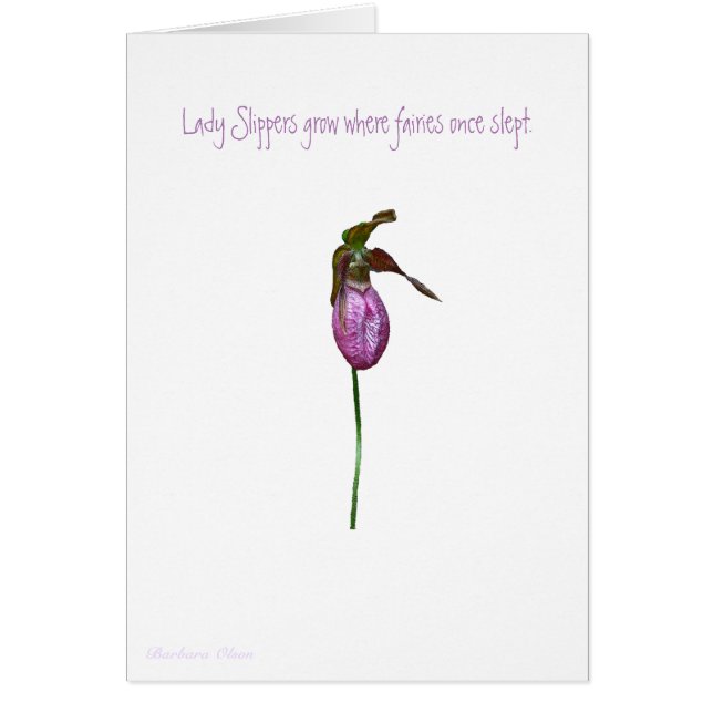 Frauenschuhe wachsen, wo Feen einmal schliefen. (Vorne)