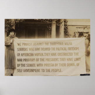 Frauenwahlbanner in Washington D.C. 1918 Poster