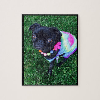Fräulein Harley Pug Puzzle